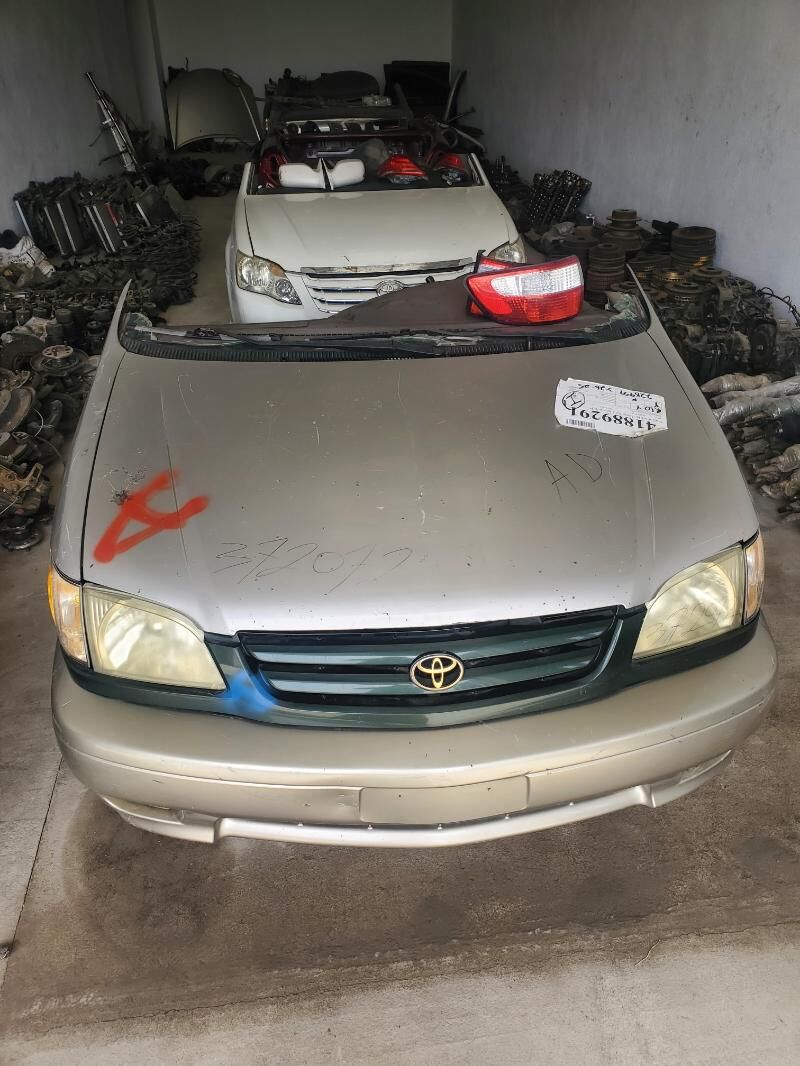 02 sienna mator 12 000 TMT - Mary - img 1