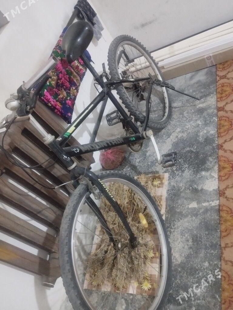 velsepet - Daşoguz - img 1