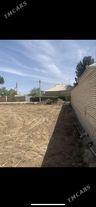 satlyk mellek - Mary - img 1