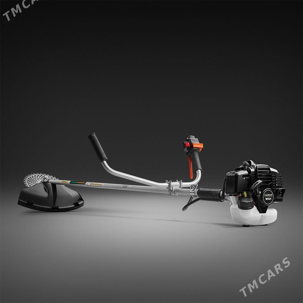 Ot orýan gazonkadilka - Ашхабад - img 1