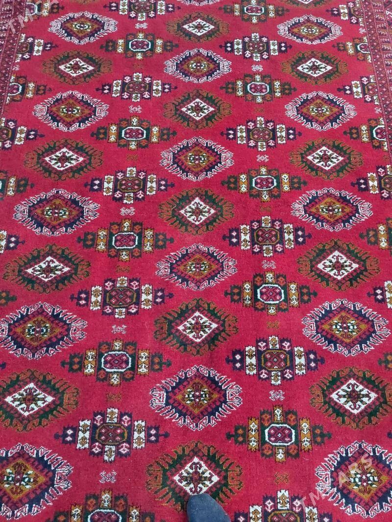 El haly. - Bäherden - img 1