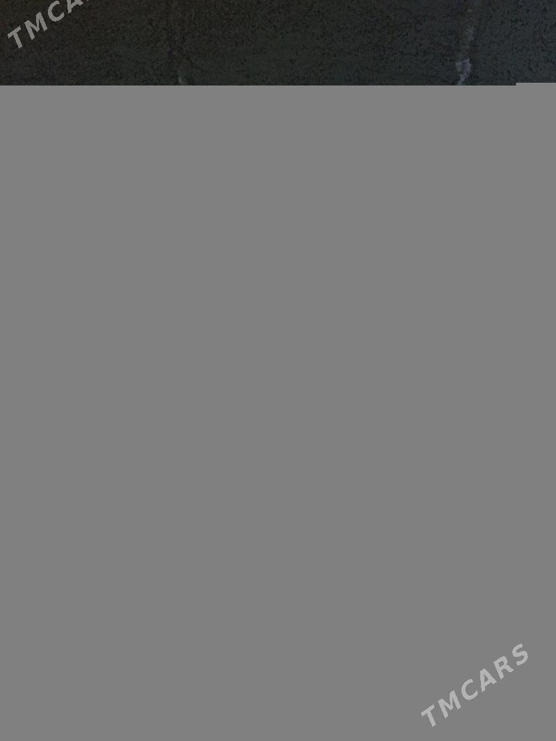 welsebit - Gurbansoltan Eje - img 1