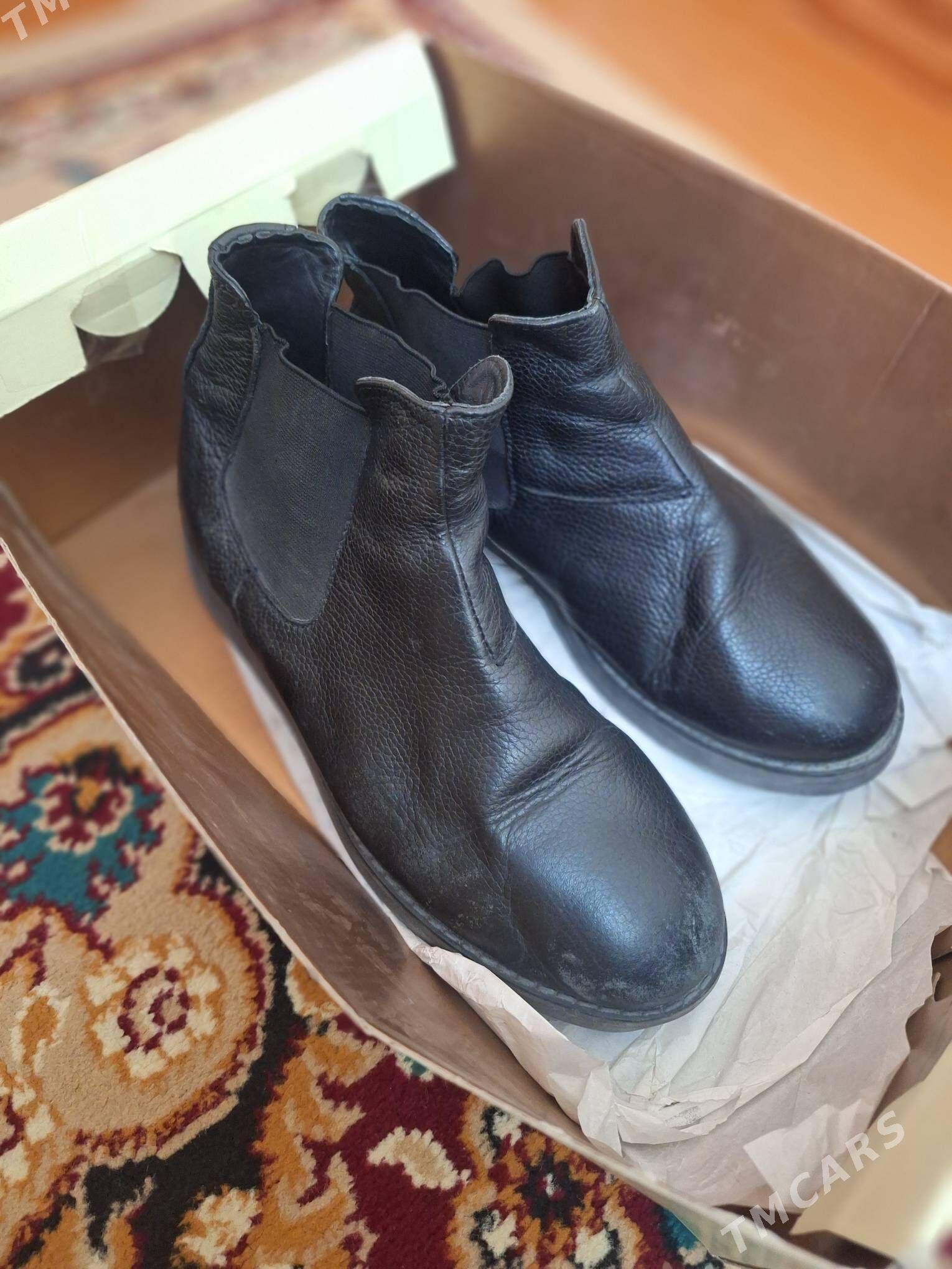 ädik - Büzmeýin - img 1