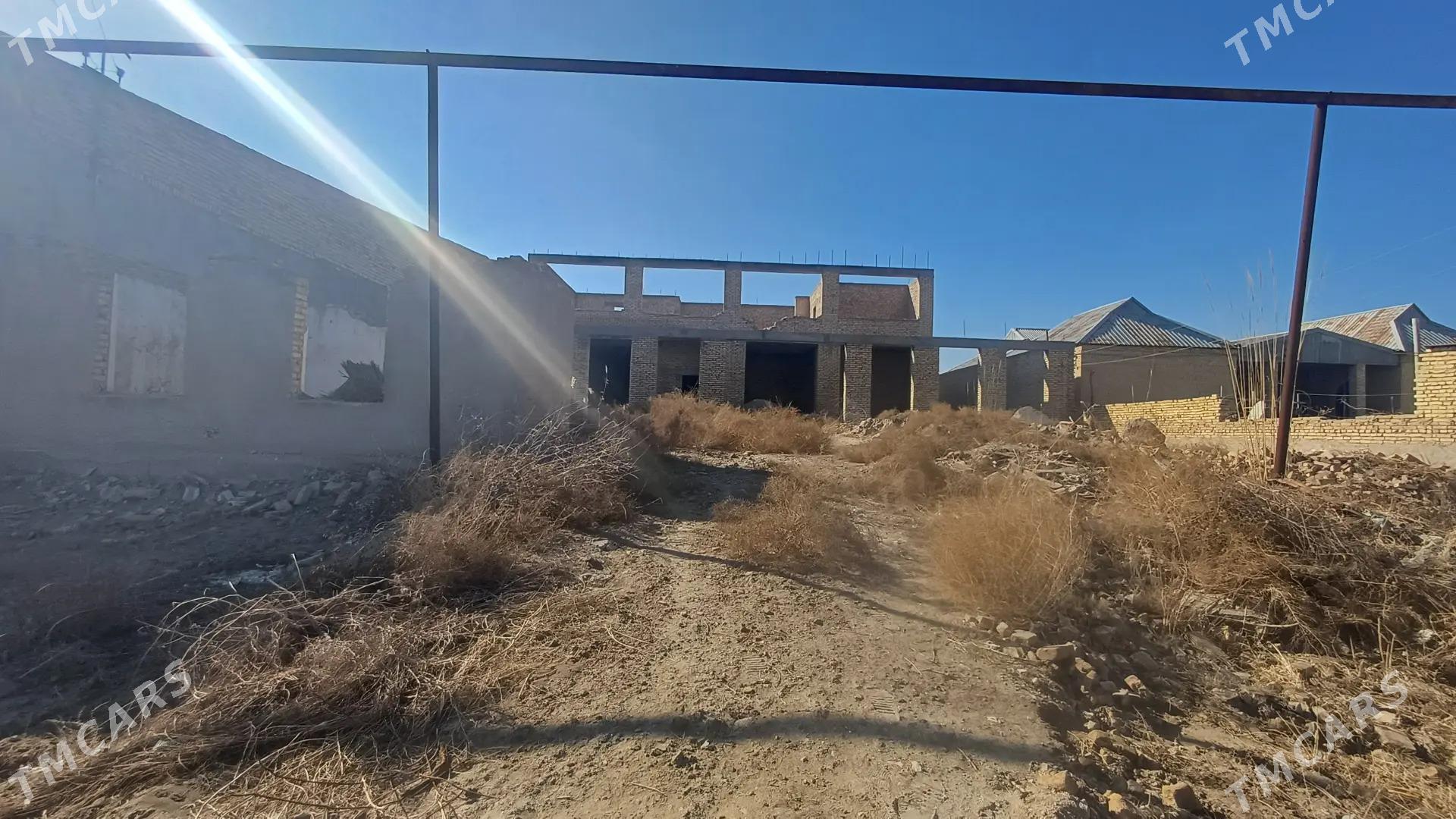 Jyl pasolluk 10-sotok - Türkmenabat - img 1