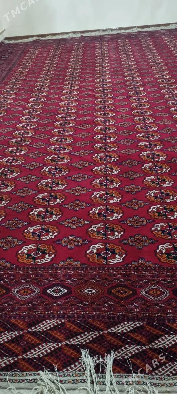 el haly - Бахарден - img 1