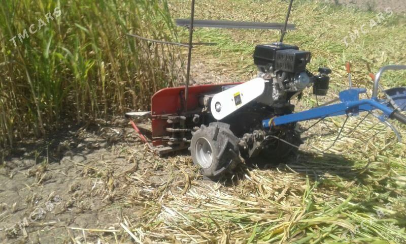 Mini kombaýyn - Гороглы (Тагта) - img 1