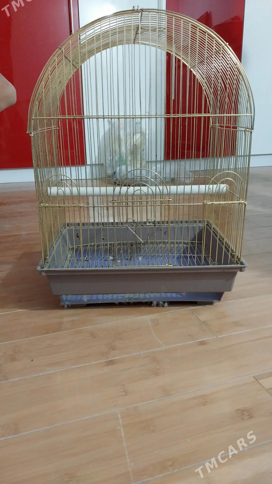 Продам Клетку для пиичек - 8 mkr - img 1