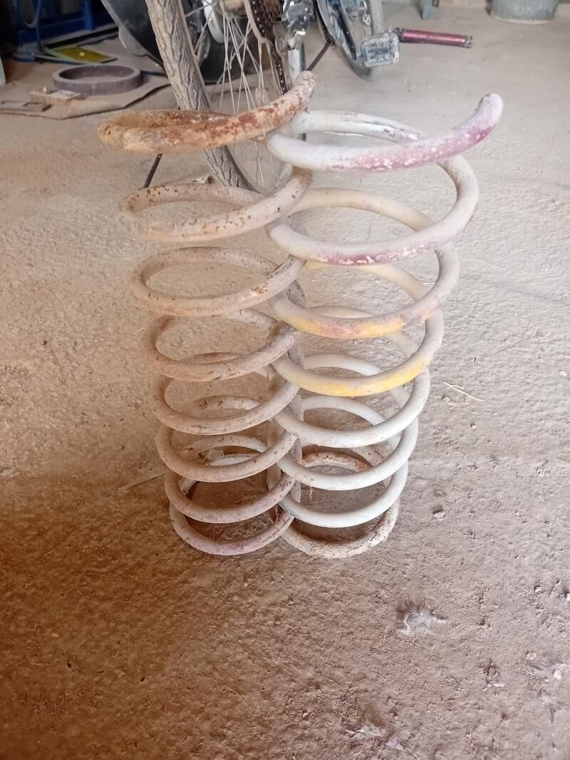 purzin 50 TMT - Mary - img 1