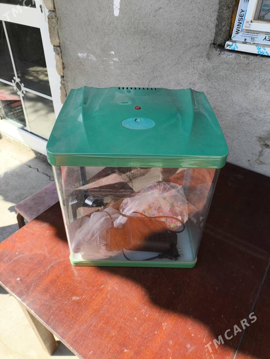 АКВАРИУМ - Хитровка - img 1