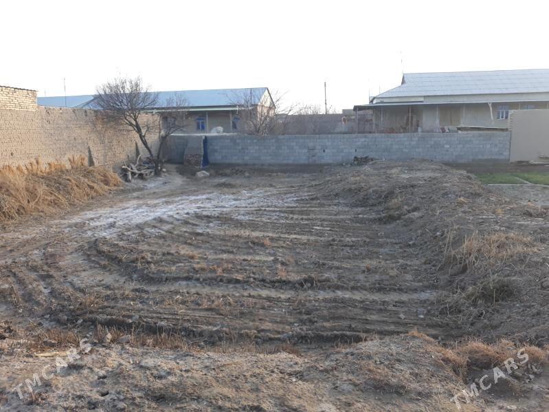 Jay - Дашогуз - img 1