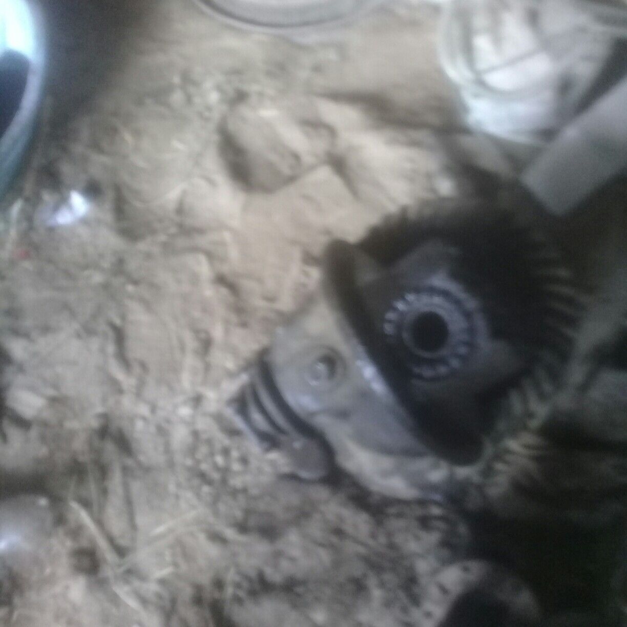 redykder 500 TMT - Мургап - img 1