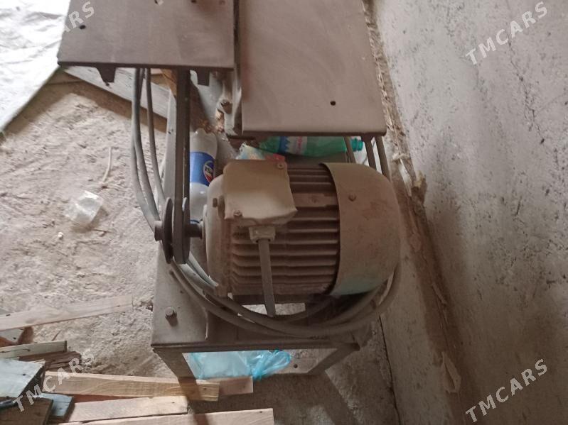 Agaç ystanok - Murgap - img 1