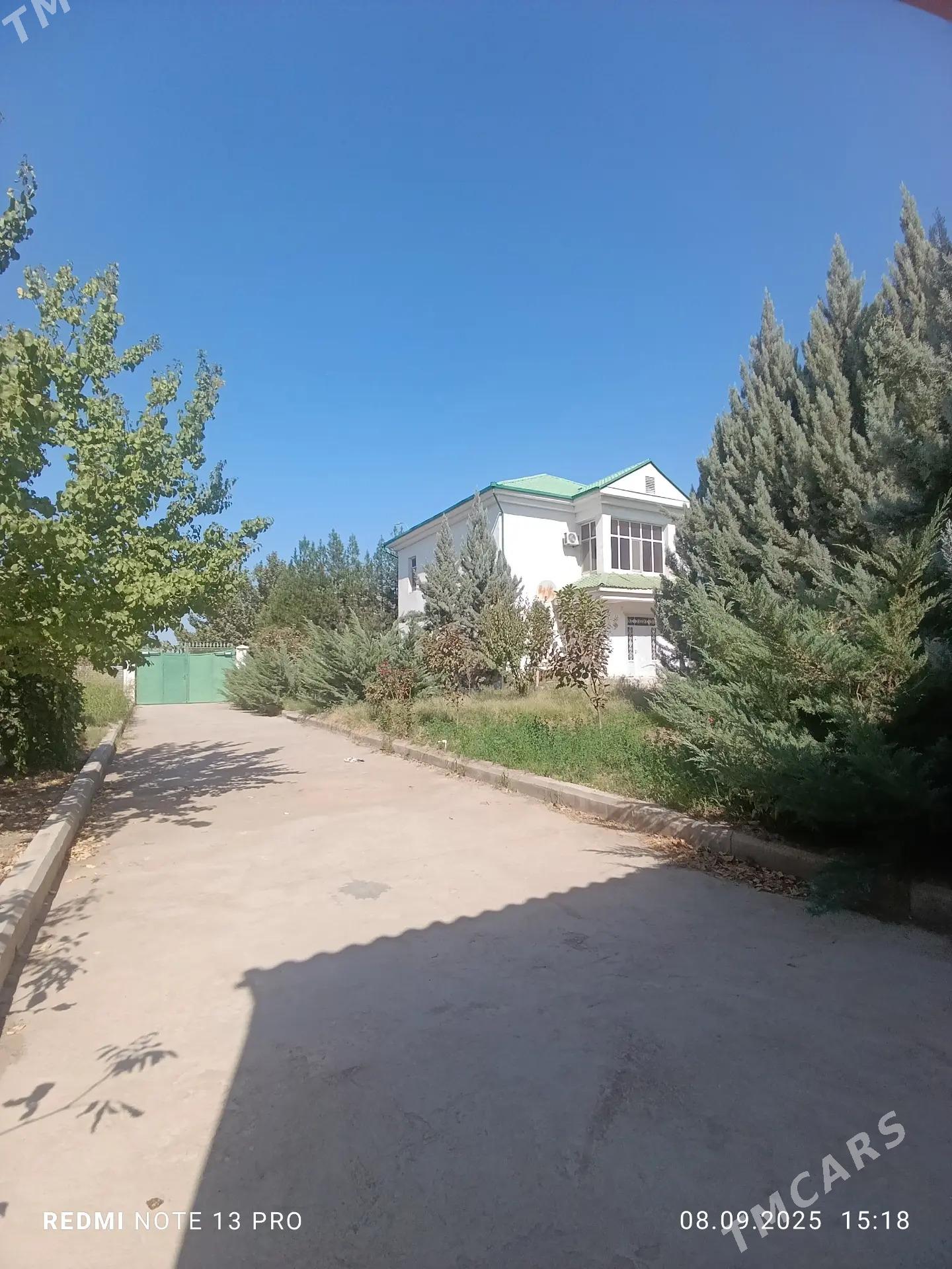 Arenda Taze Zaman Katez - Aşgabat - img 1