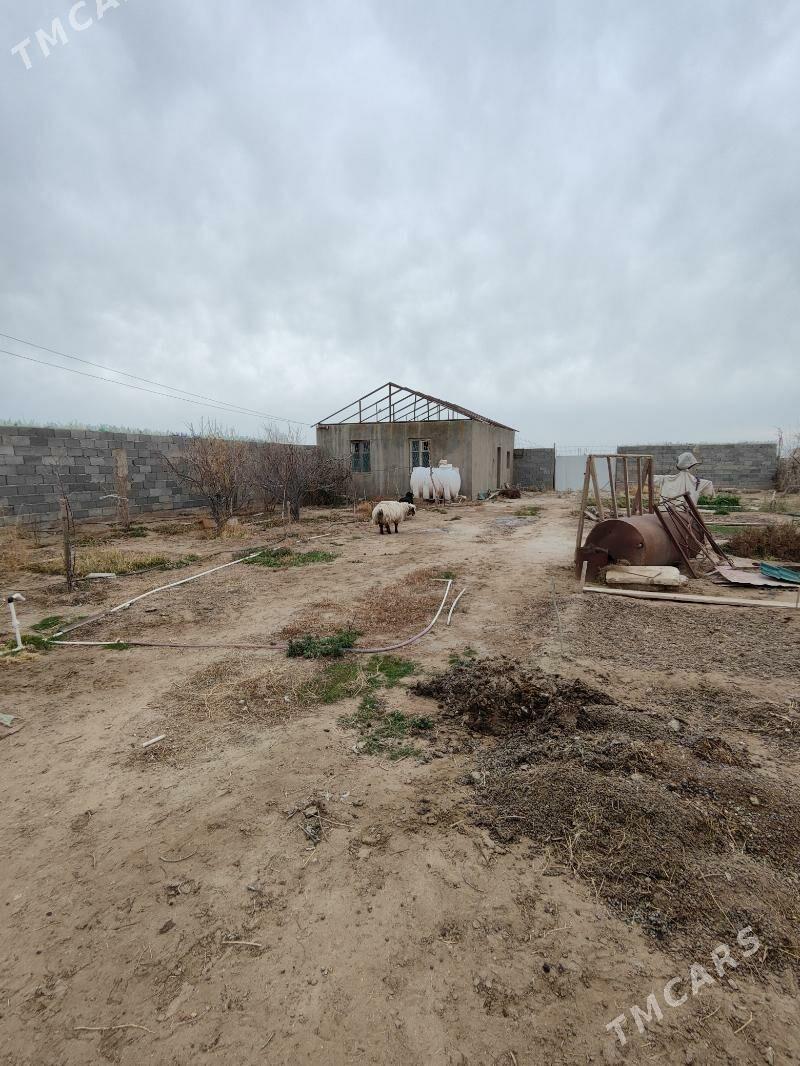 орбита дача - Балканабат - img 1