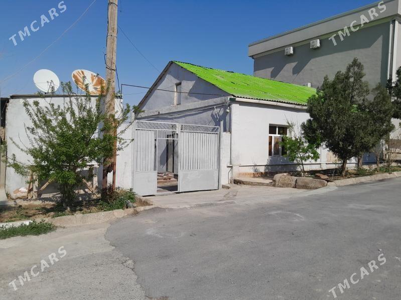 Satlyk Baÿ köşi jaý - Köşi - img 1