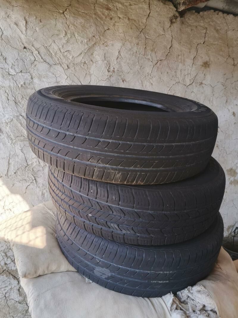 13likteker 500 TMT - Bäherden - img 1