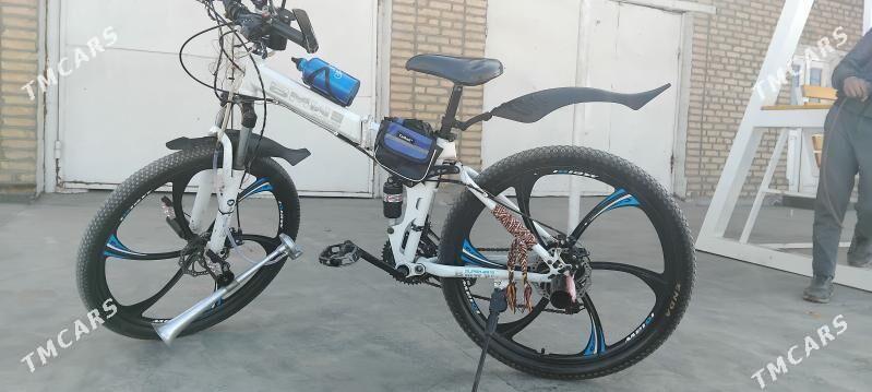 BMW TFCB tigir - Sakarçäge - img 1