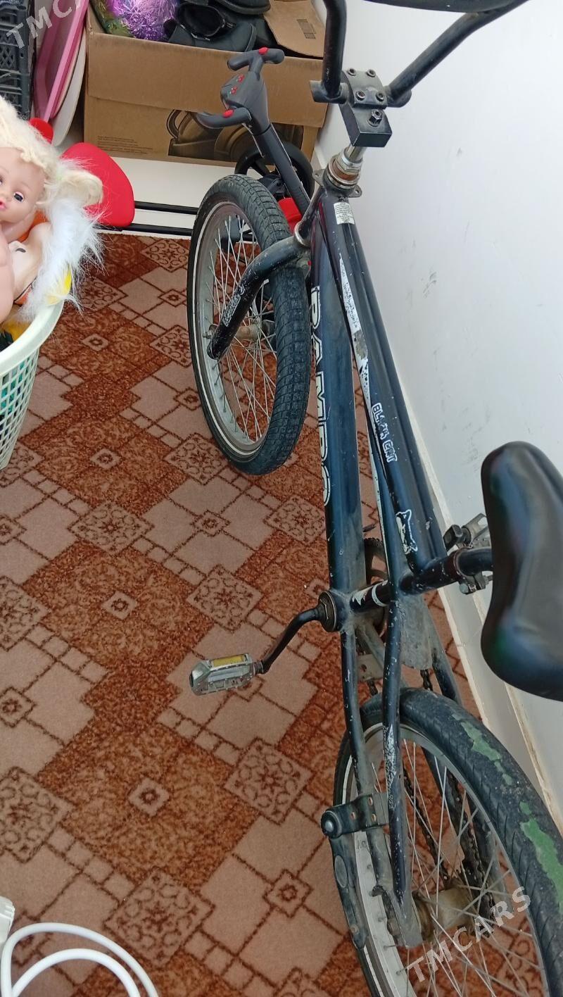 Rambo - Аркадаг - img 1