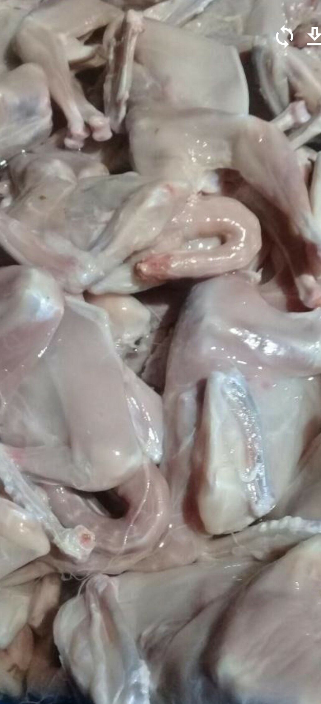 ELIN JUJE - Aşgabat - img 1