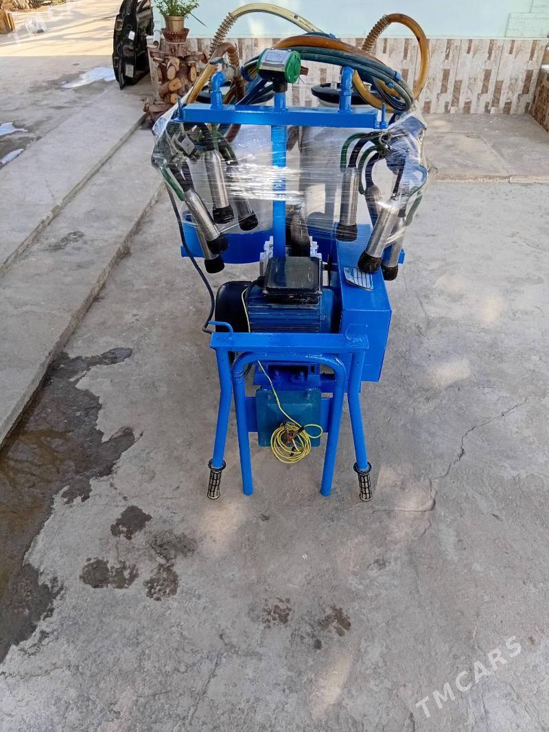 sygyr sagyan enjam - Balkanabat - img 1