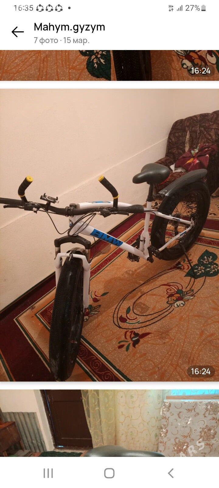 tigir - Änew - img 1