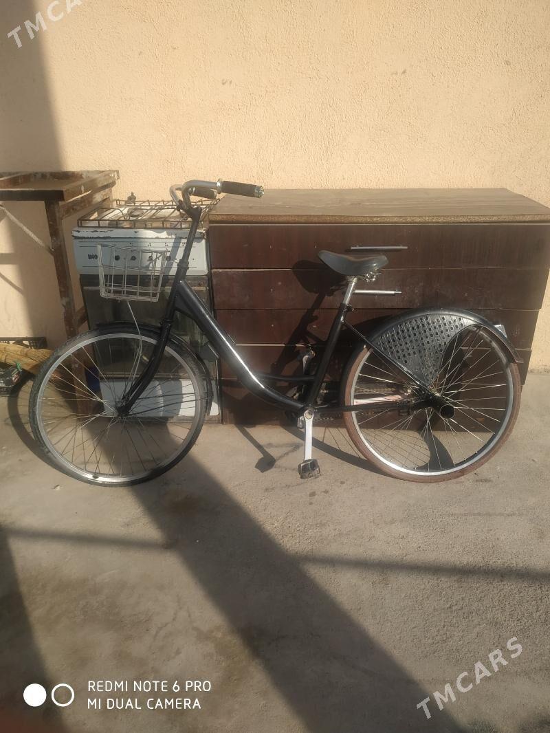 Yapoşka tigir - Çoganly - img 1