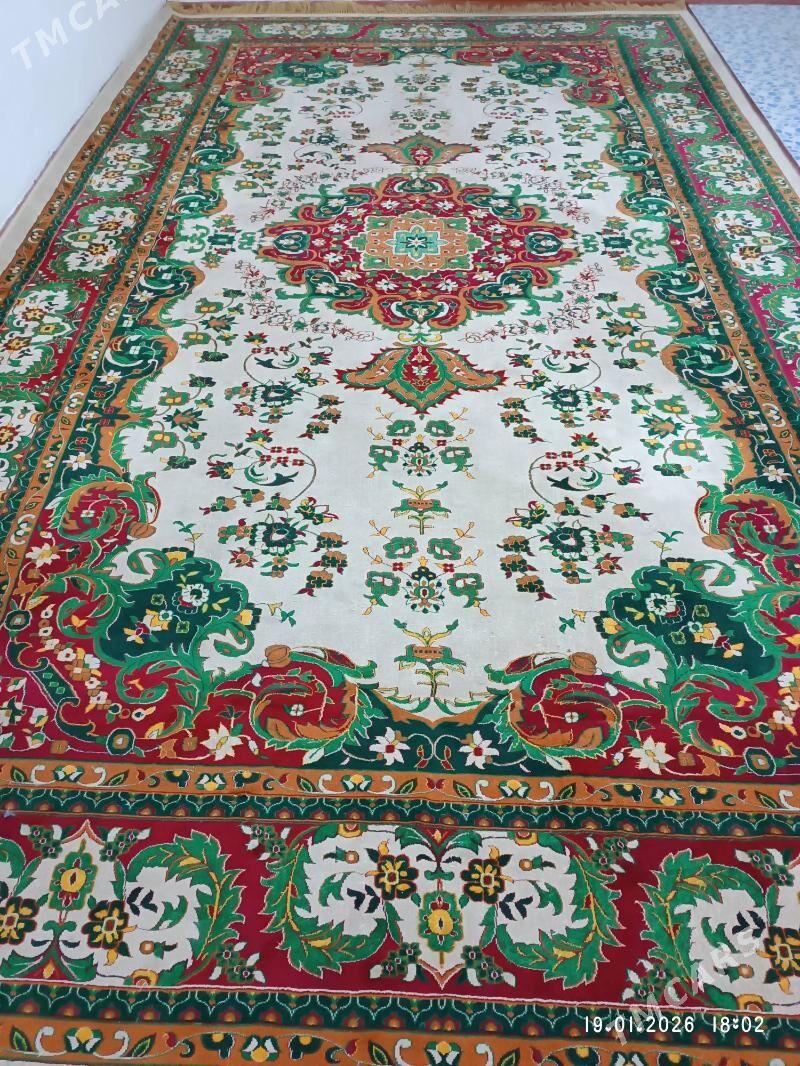 haly - Гызыларбат - img 1