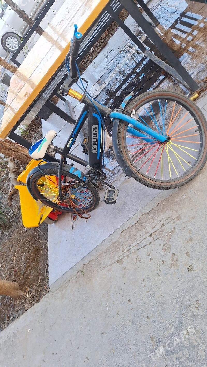 Welisopet tigir - Kim raýon - img 1