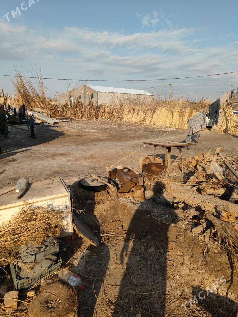 Mellek yer - Türkmenabat - img 1