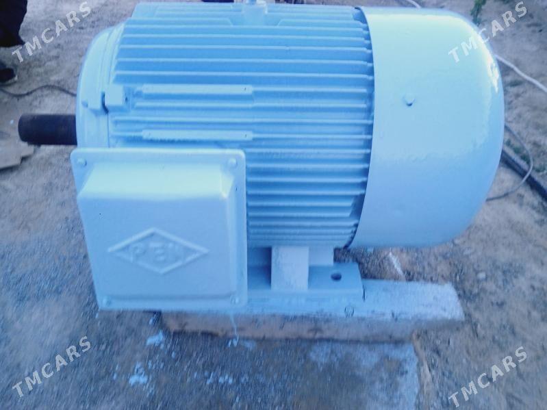 elektrodwitil - Тязе заман - img 1