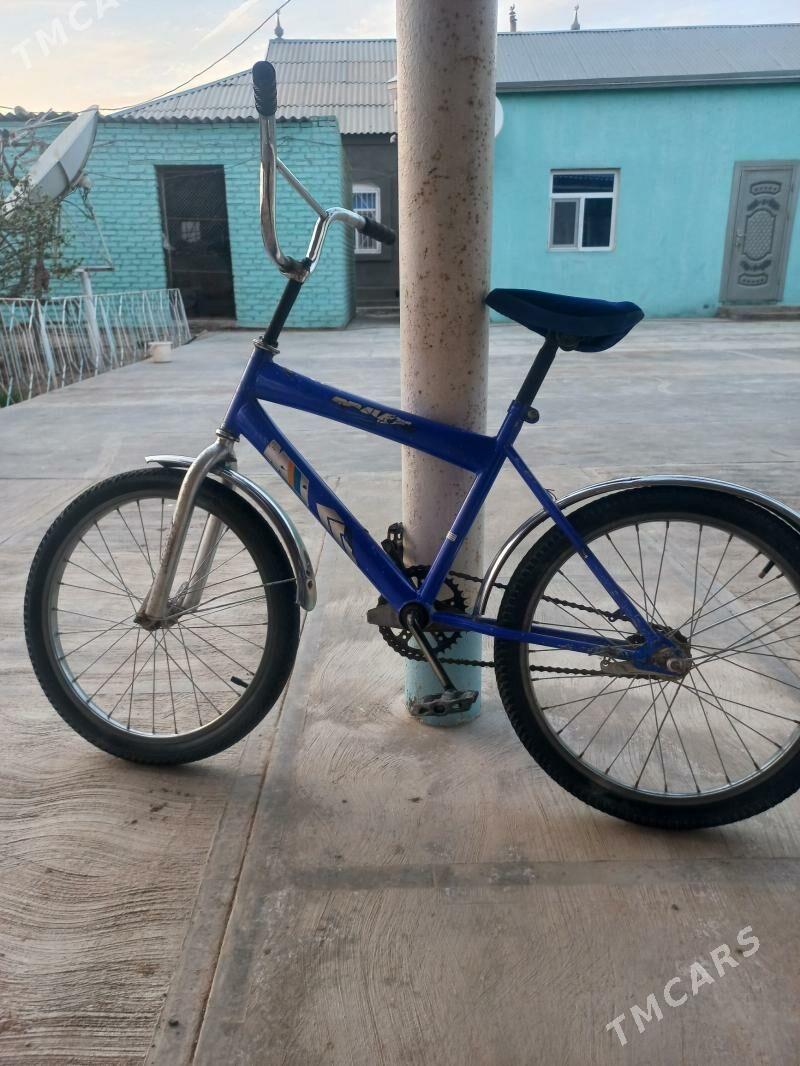 weloseped - Сакарчага - img 1