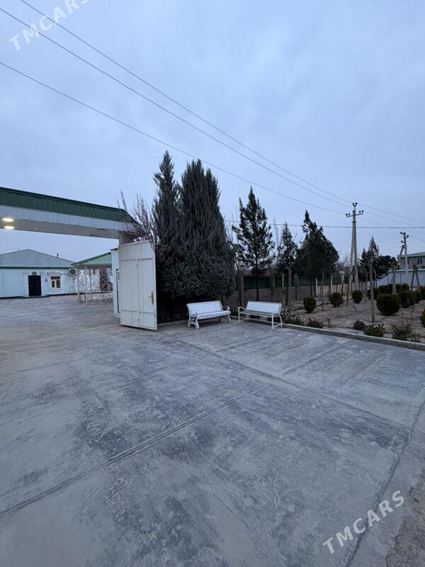 Satlyk Bekrewe - Бекреве - img 1