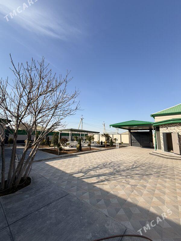 Satlyk Bagyr 8_Sotuk - Bagyr - img 1