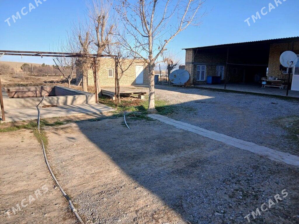 Mellek ýer - Kaka - img 1