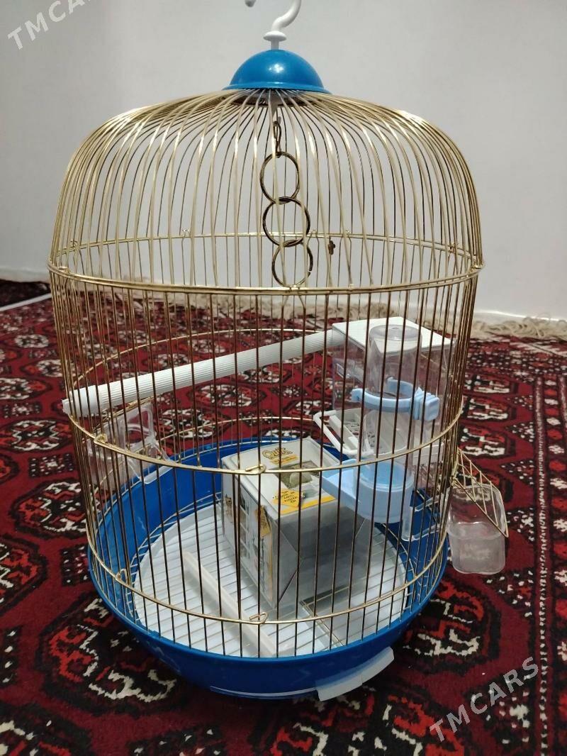 Papygayn kletkasy клетка папуг - Türkmenbaşy - img 1