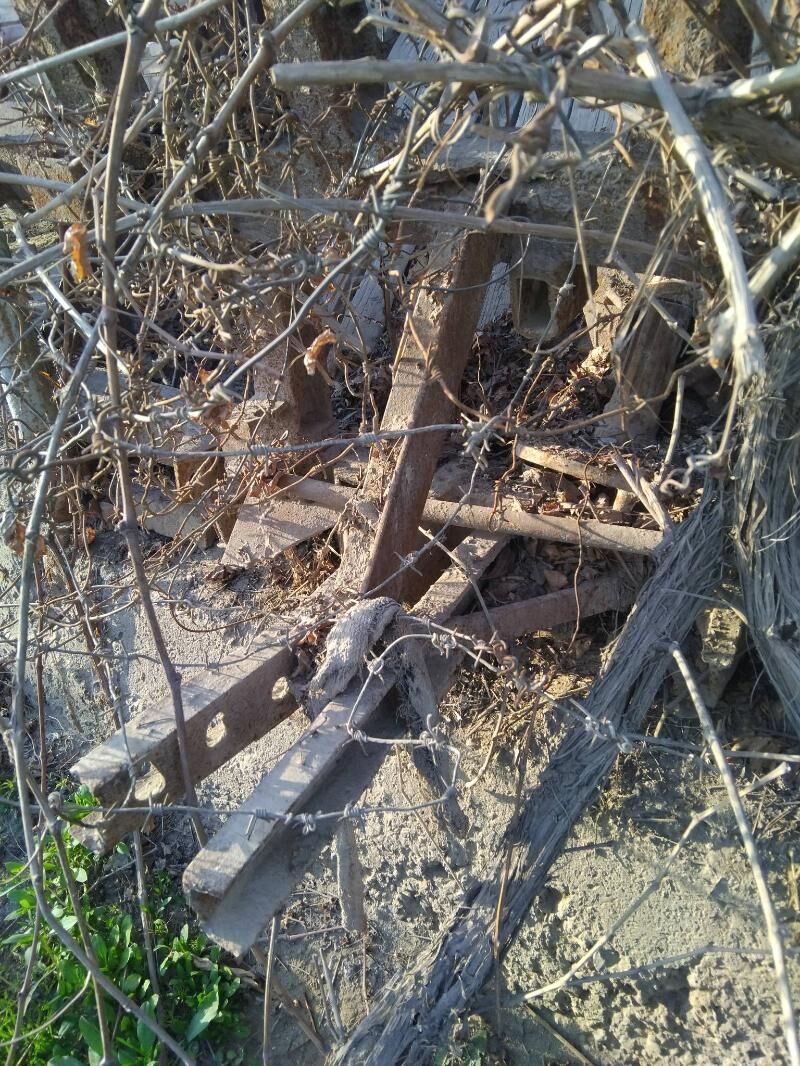 чизил 2 000 TMT - Чарджоу - img 1