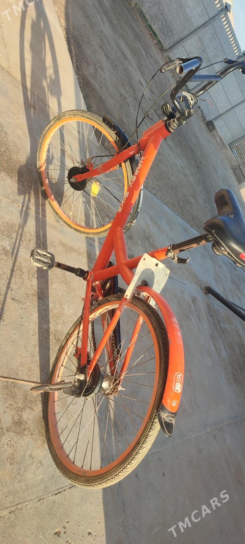 Welsoped - Мары - img 1