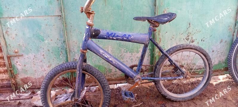 tigir - Гарадамак Шор - img 1