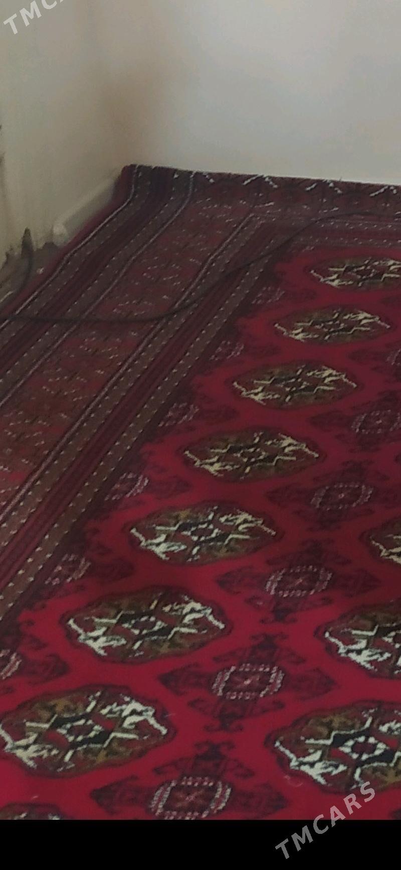 Haly - Türkmenbaşy - img 1