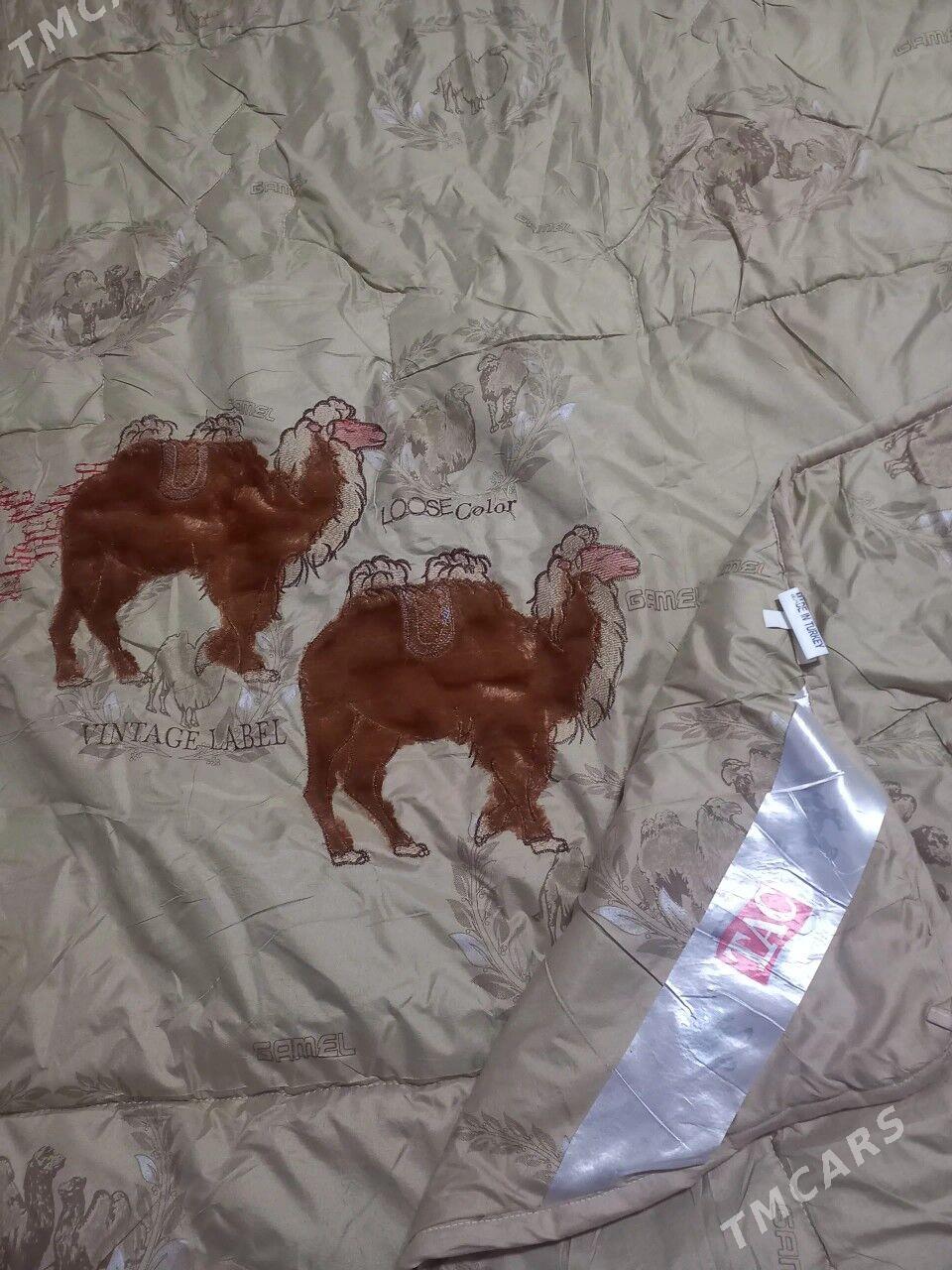 ÿorgan odeal - Mary - img 1