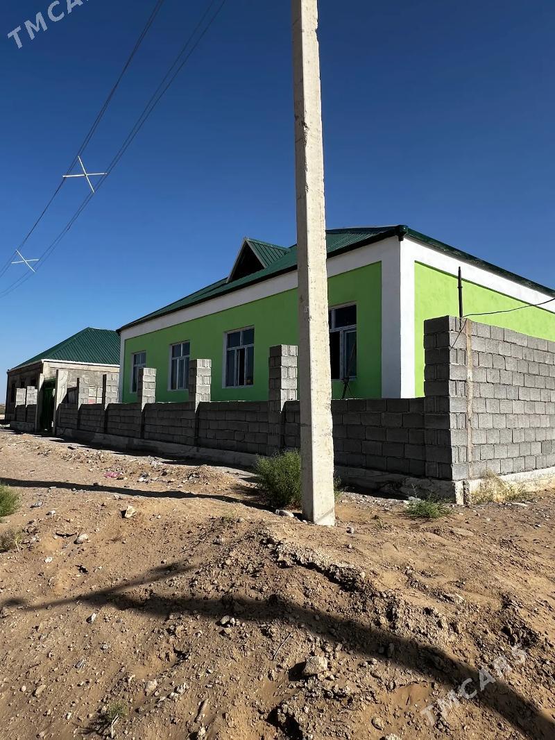 Anew Öñ aly plan 5 kom - Änew - img 1