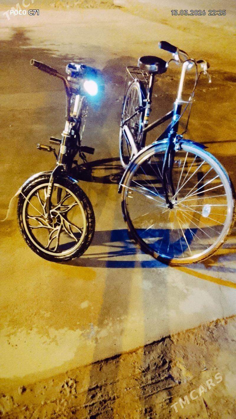 tigir - Berzeňňi - img 1