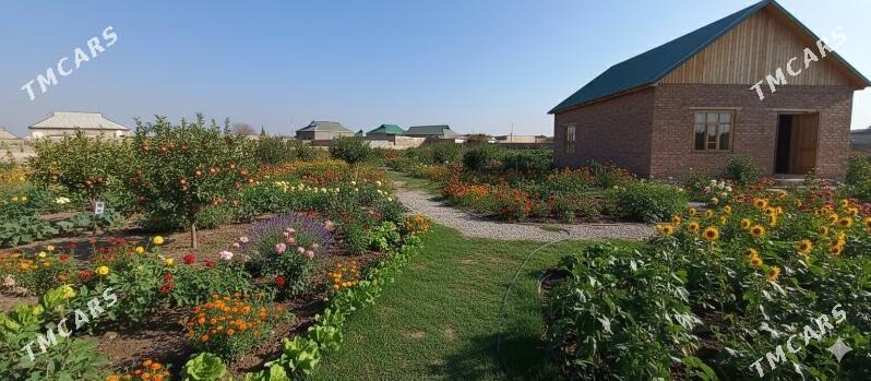 Uçastok ýer - Кака - img 1