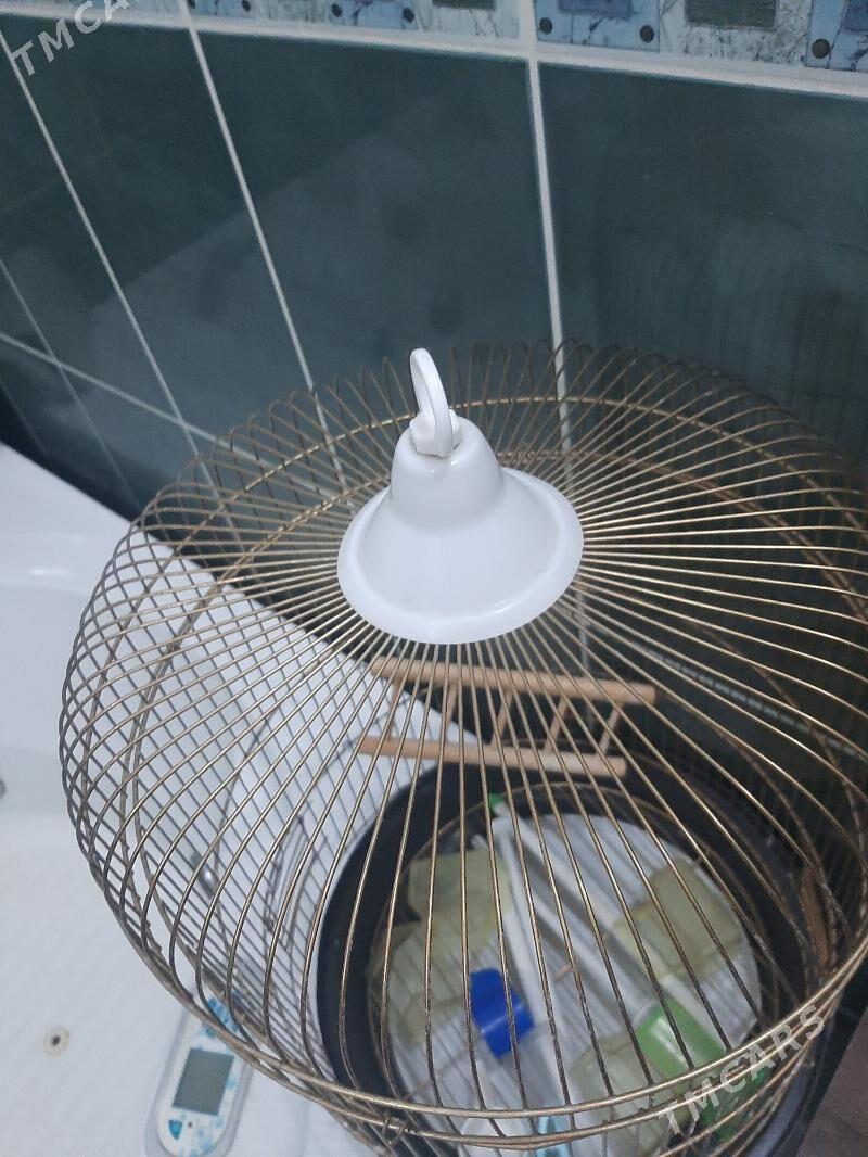 Клетка - 30 mkr - img 1