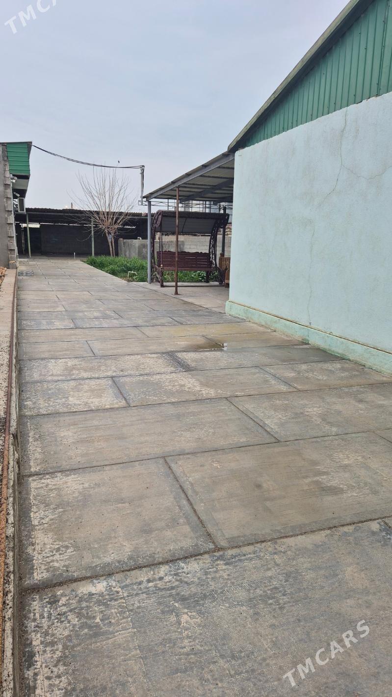 satlik yer jay - Ýaşlyk - img 1