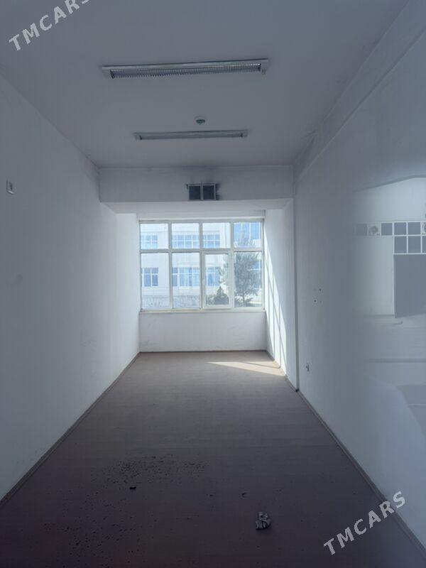 satlyk ammarlar merkezi - Ak bugdaý etraby - img 1