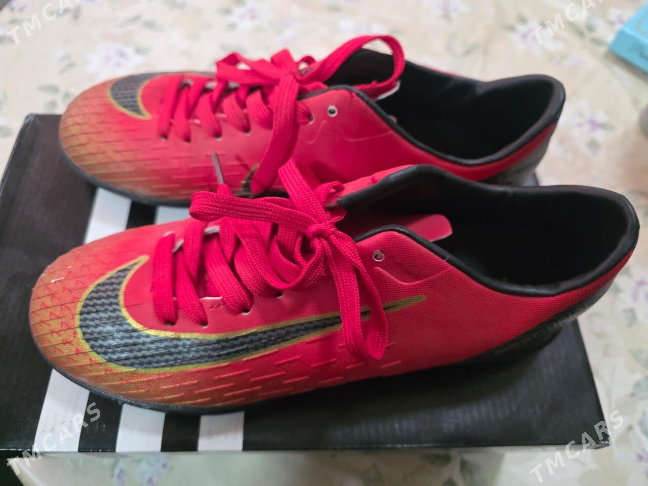 butsy "kyrkaýak" "сороконожка" - Aşgabat - img 1