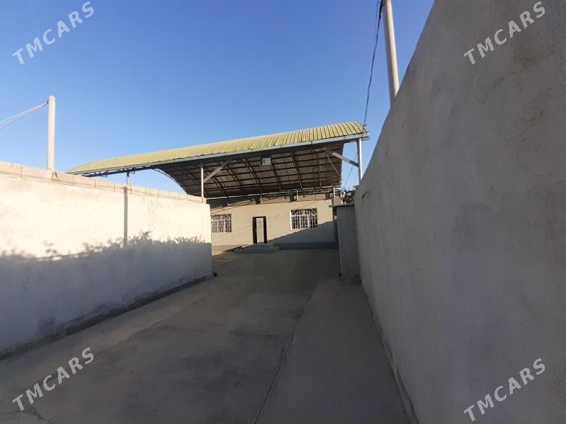 Howly jaý - Анев - img 1