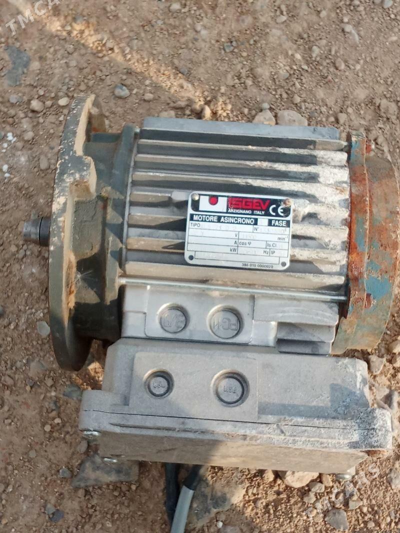 Elektra Mator - Gyzylarbat - img 1