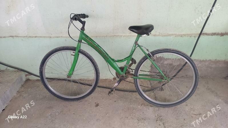 Türkmenistan tigir - Гёкдепе - img 1